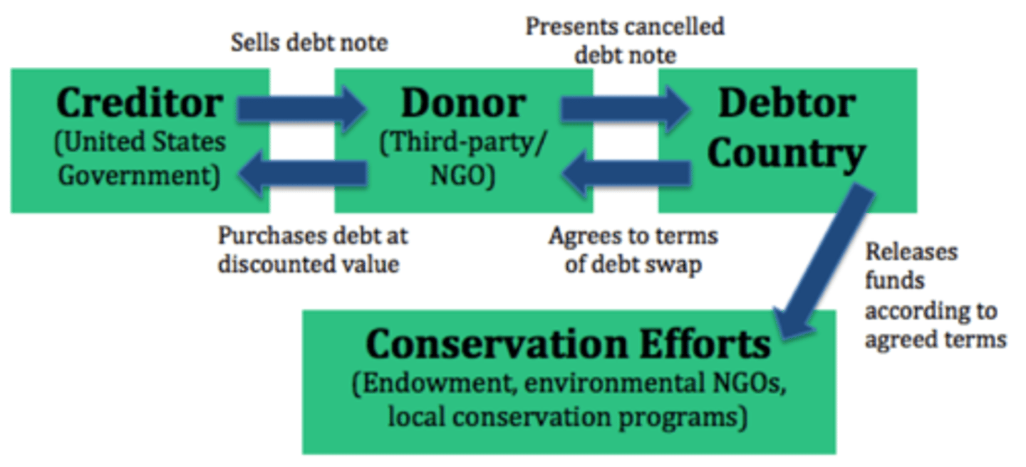 <p>In a debt for nature swap, creditors agree to forgive debts in return for the promise of environmental protection; attempt to solve two problems with one agreement: 1) minimize the negative effect debt has on developing nations 2) minimize the environmental destruction that developing nations frequently cause</p>