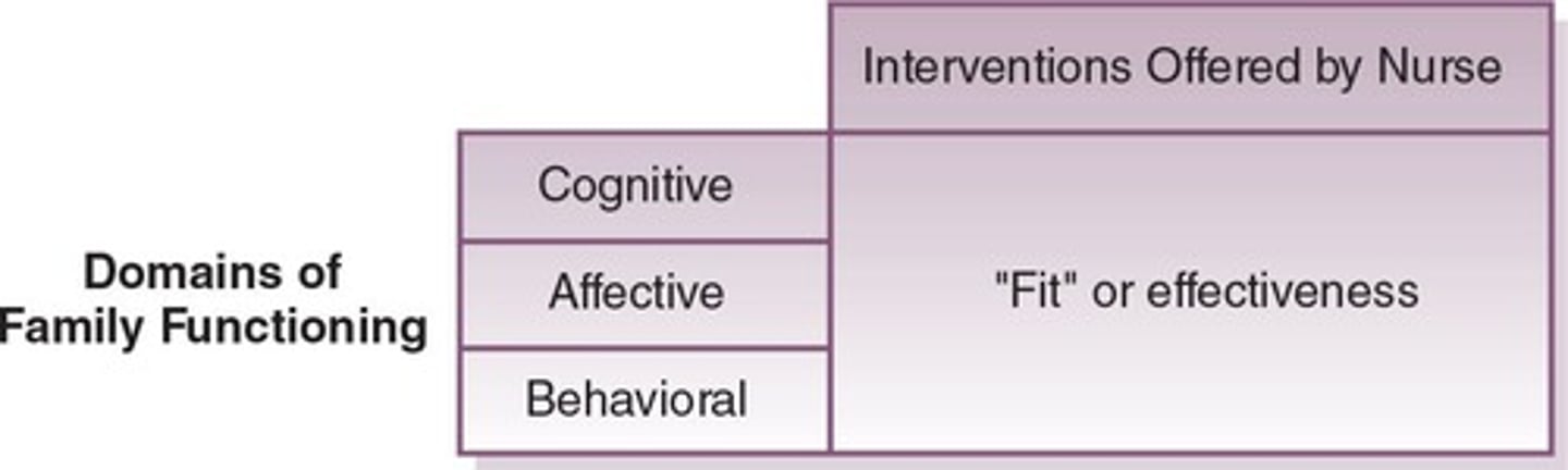 <ol><li><p>Cognitive</p></li><li><p>Affective</p></li><li><p>Behavioral</p></li></ol><p></p>