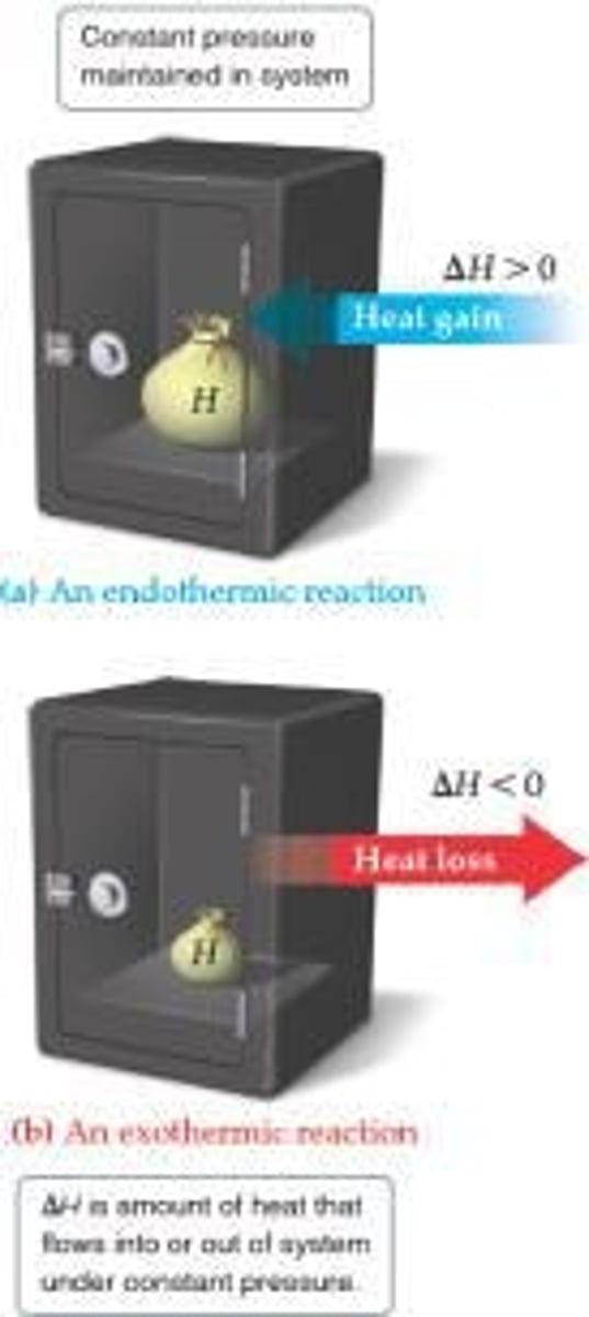 <p>Exothermic: heat is released by the system. Endothermic: heat is absorbed by the system.</p>