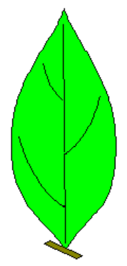 <p>attachment</p>