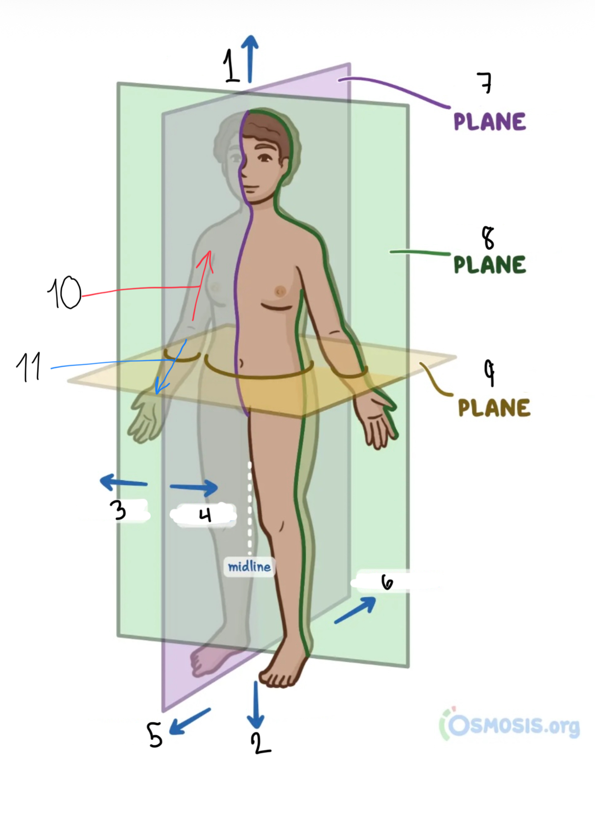 <p>What’s 10 and 11</p>