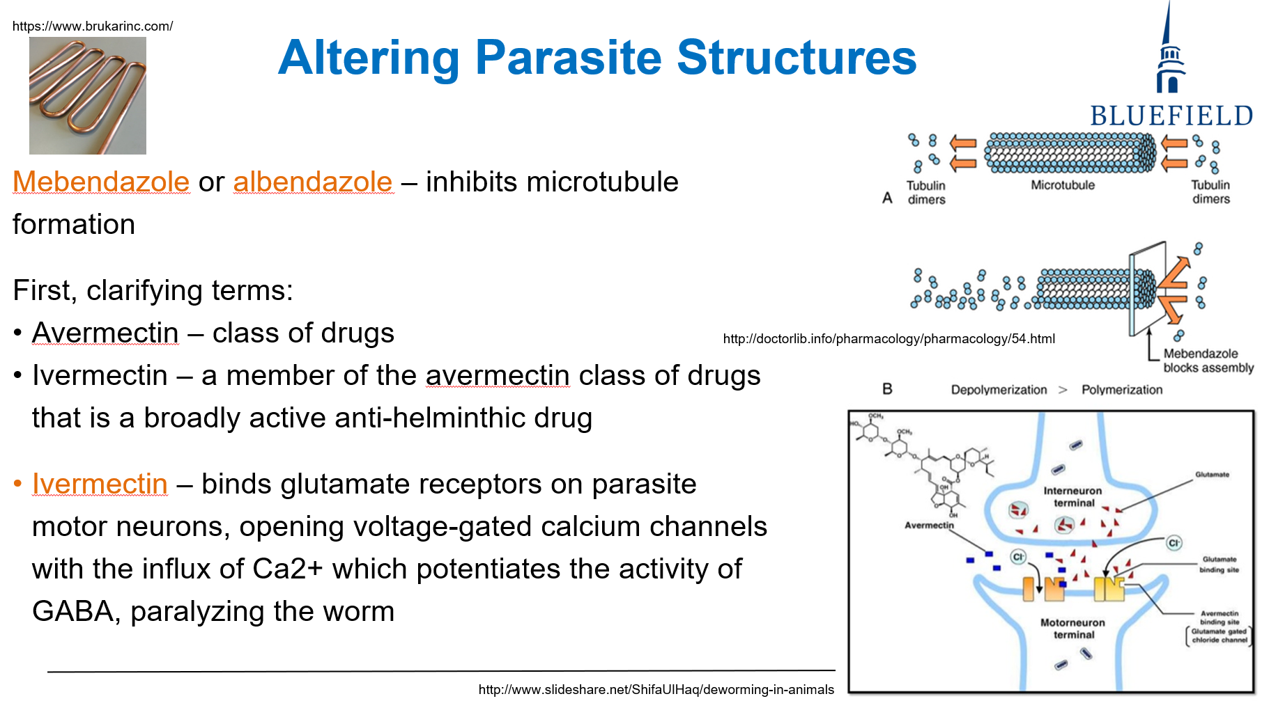 <p>B. Mebendazole<br></p><p><strong>Mebendazole</strong> disrupts <strong>microtubule polymerization</strong>, impairing <strong>parasite mobility and function</strong>.</p><p><em>“bend”</em></p>