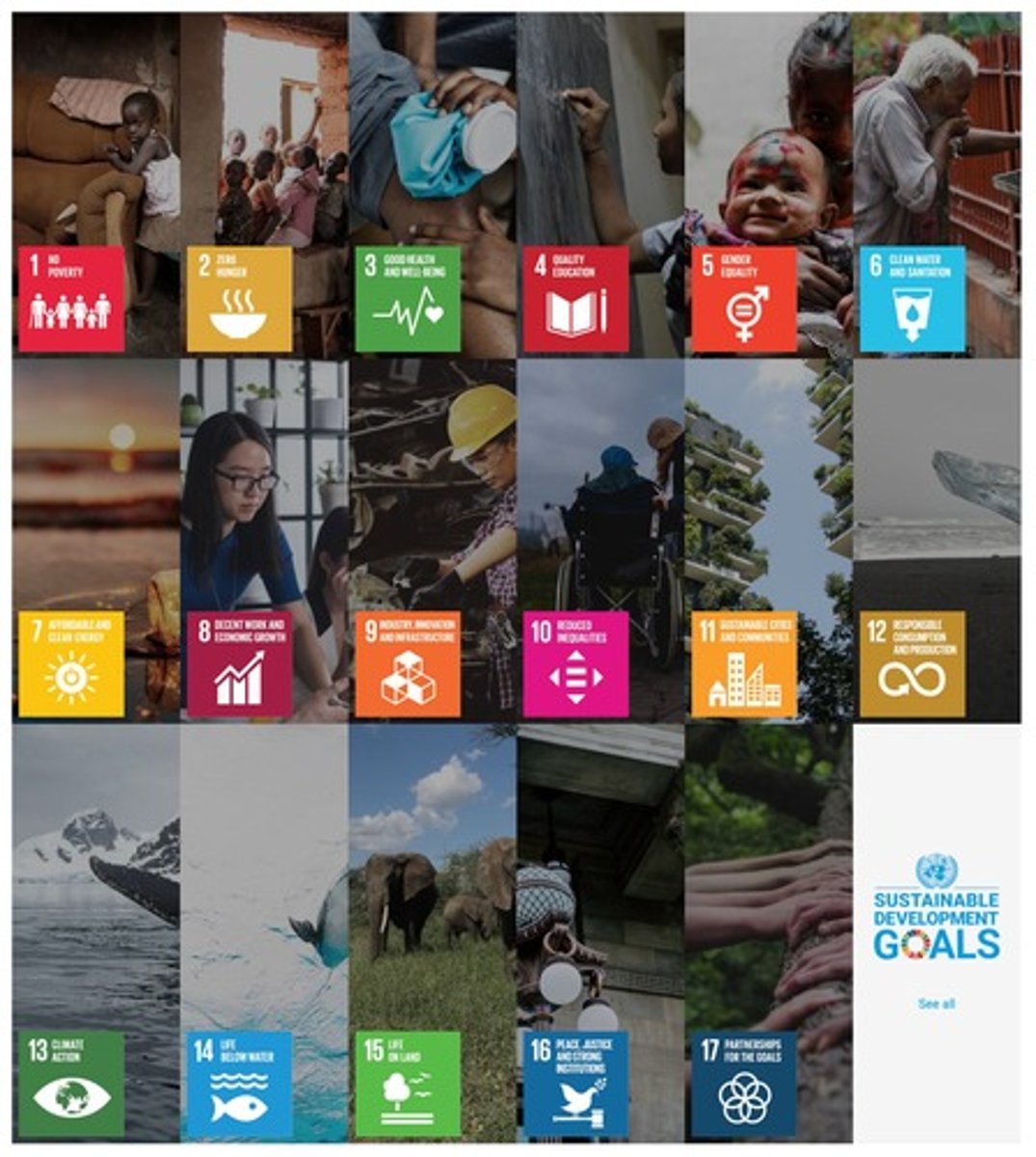 <p>Global objectives for sustainable development (2015-2030).</p>
