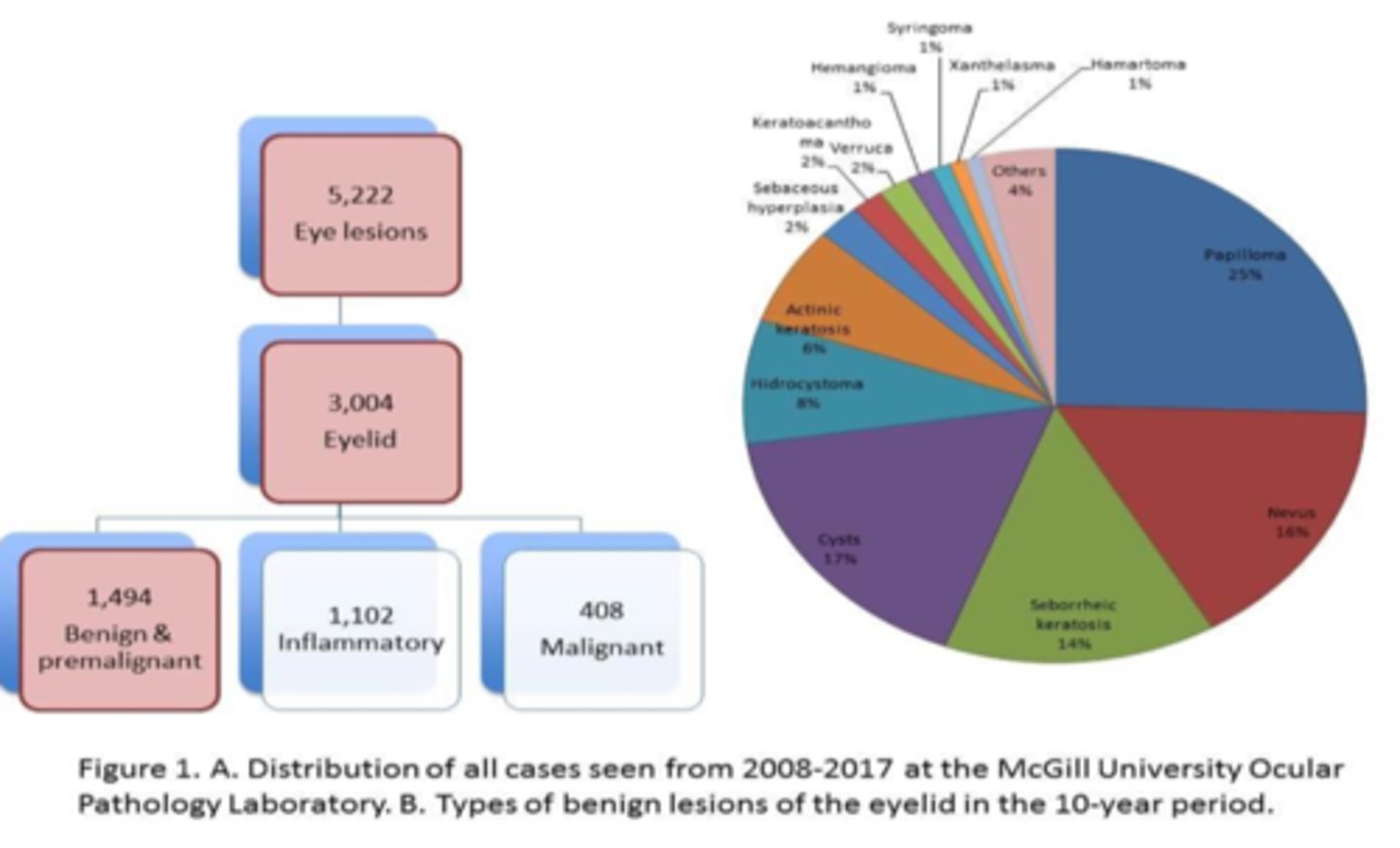 <p>nevus</p><p>xanthelasma</p>