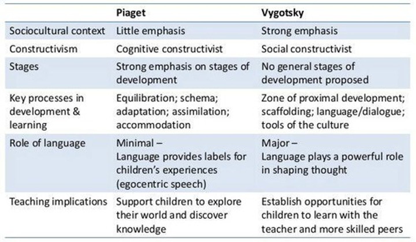 <p>Cognitive development occurs within cultural contexts.</p>