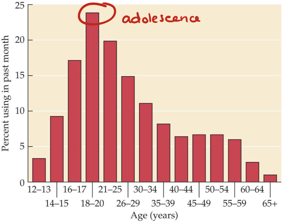 <ul><li><p>Development is a large factor</p><ul><li><p><strong>Late adolescents (~17-22)</strong> are the largest group of drug users</p></li></ul></li><li><p>Reasons</p><ul><li><p>PFC is still developing</p><ul><li><p>Inhibitory control not fully developed</p></li><li><p>Not all executive functions are online</p></li></ul></li><li><p>Ventral striatum is dominant → reward-seeking</p></li></ul></li></ul><p></p>