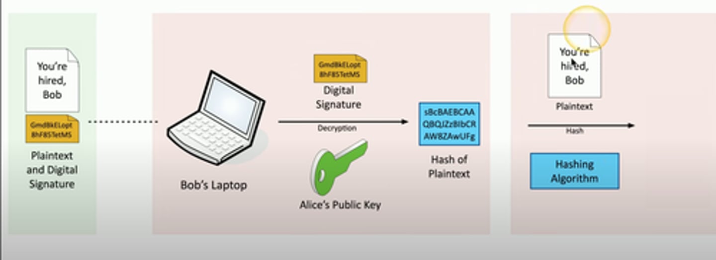 <p>Bob decrypts the digital signature to obtain the plaintext hash</p>