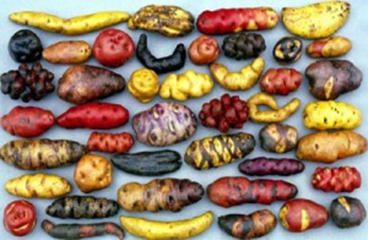 <p>Explain the context of this photo.</p>