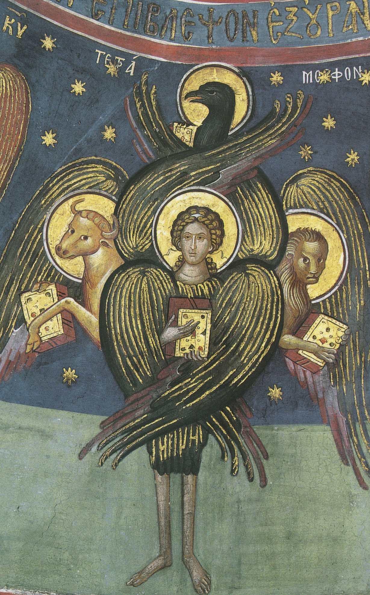 term image