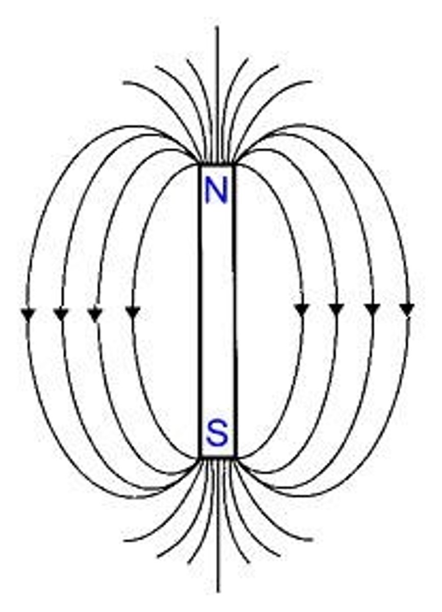 <p>north and south</p>