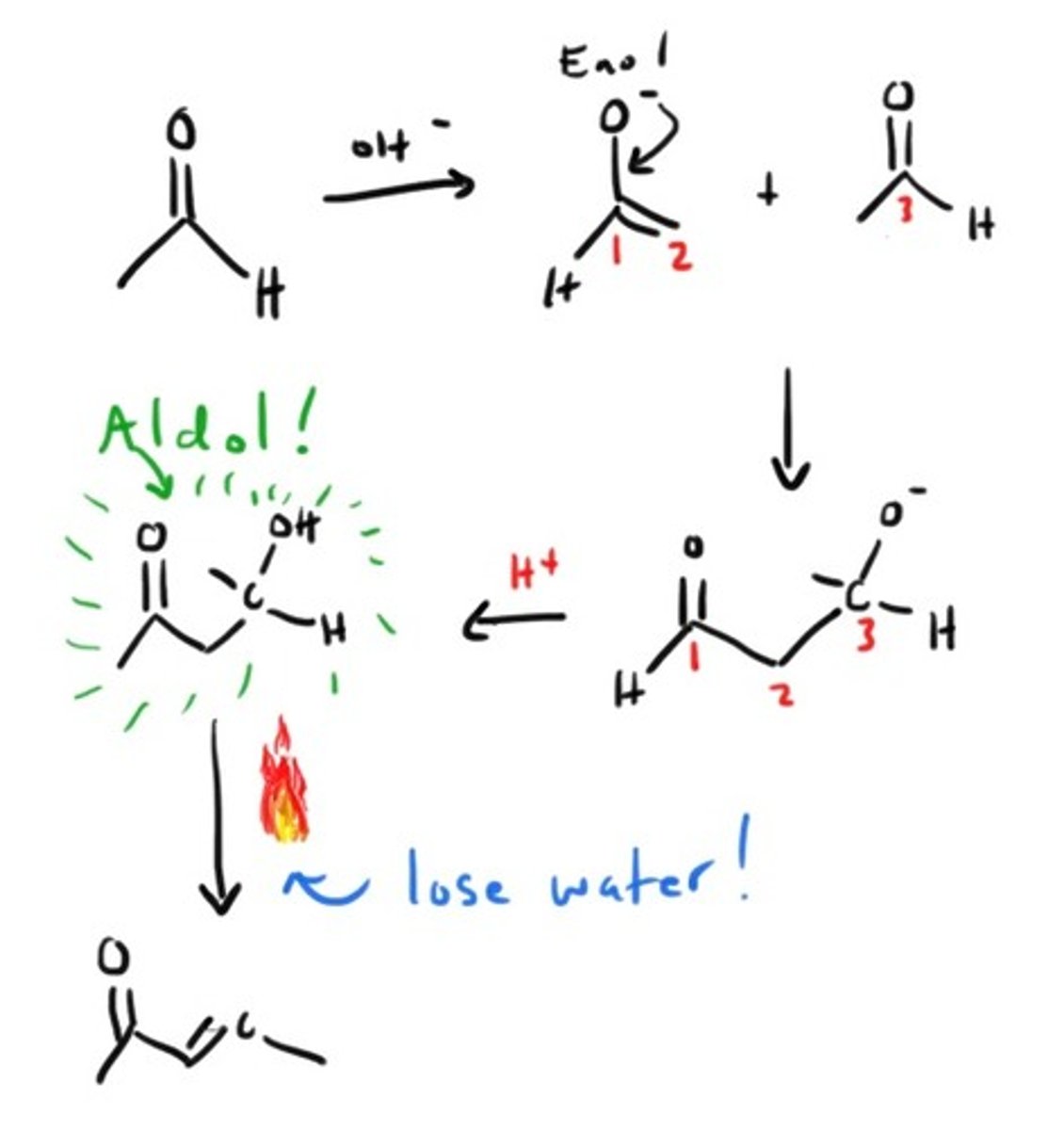 knowt flashcard image