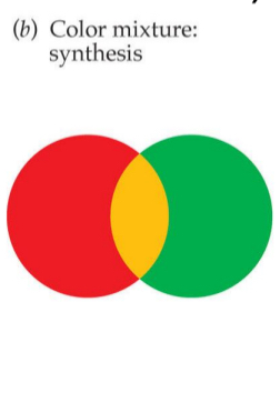 <ul><li><p>metameres in colour vision</p></li><li><p>We&nbsp;<strong>perceive the mixture as a new, unified scent</strong>, not the individual components.</p></li><li><p>Like in&nbsp;<strong>color vision</strong>, where combining wavelengths (e.g., red + green) creates the perception of a new color (e.g., yellow).</p></li><li><p>Odor mixtures can form&nbsp;<strong>olfactory metamers</strong>&nbsp;— different combinations that smell the same.</p></li></ul><p></p>