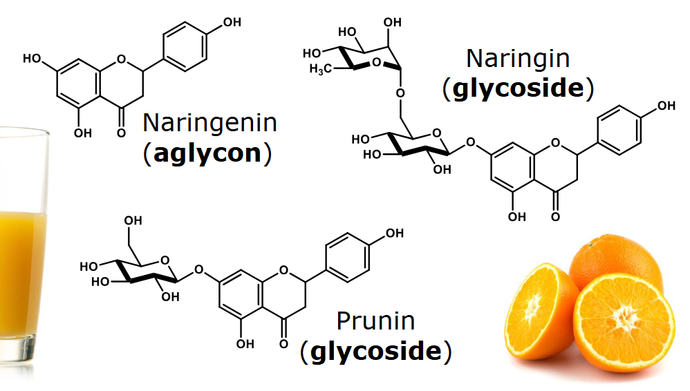 <ul><li><p>Naringenin has no sugars attached</p></li><li><p>Prunin has one sugar attached</p></li><li><p>Naringin has two sugars attached</p></li></ul><p></p>
