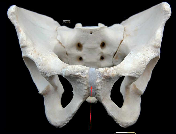 <p>ID Structure</p>