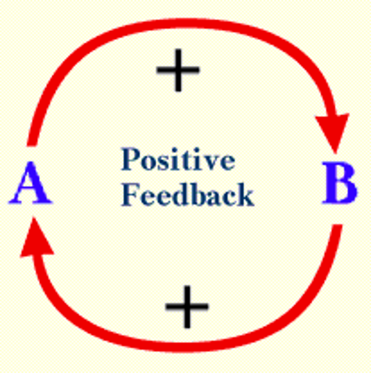 <p>amplifies change: one change leads to another, pushing the system away from a steady state in a natural system.</p>