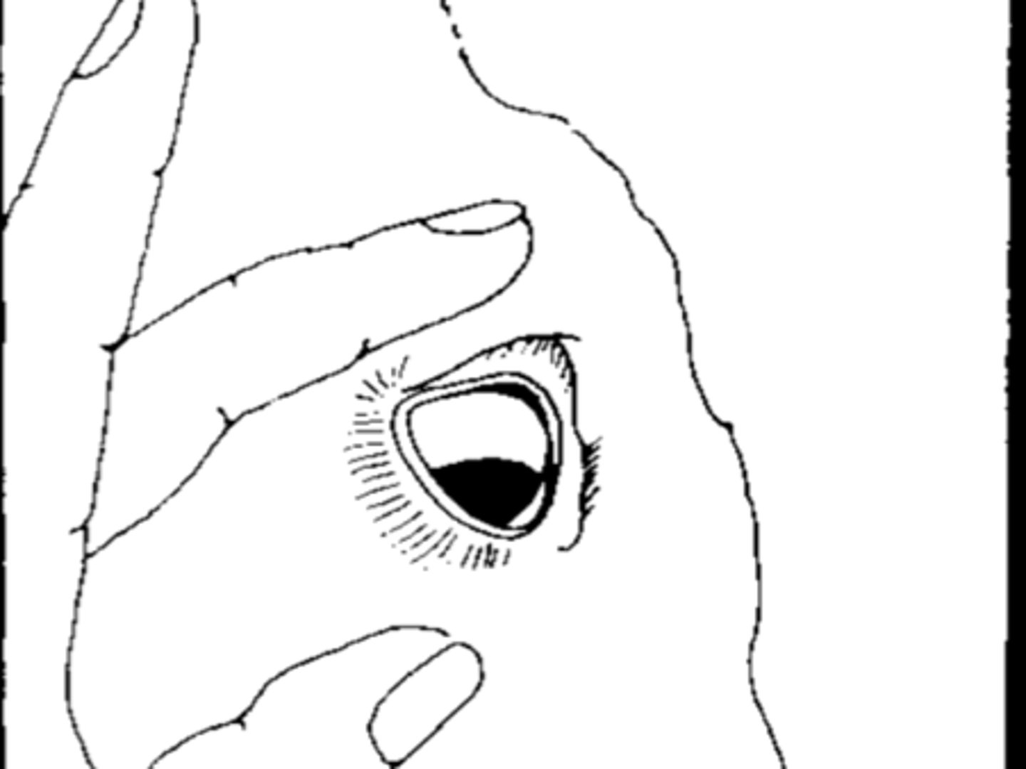 <p>What is the depth?</p>