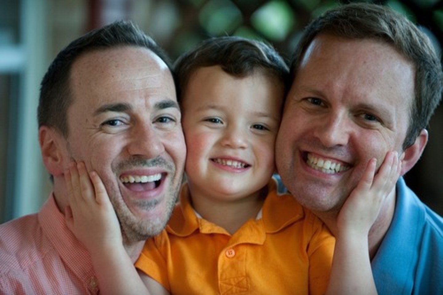 <p>Adopted</p>