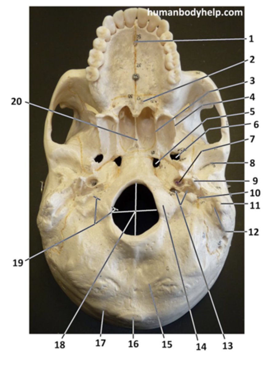 <p>#7</p>