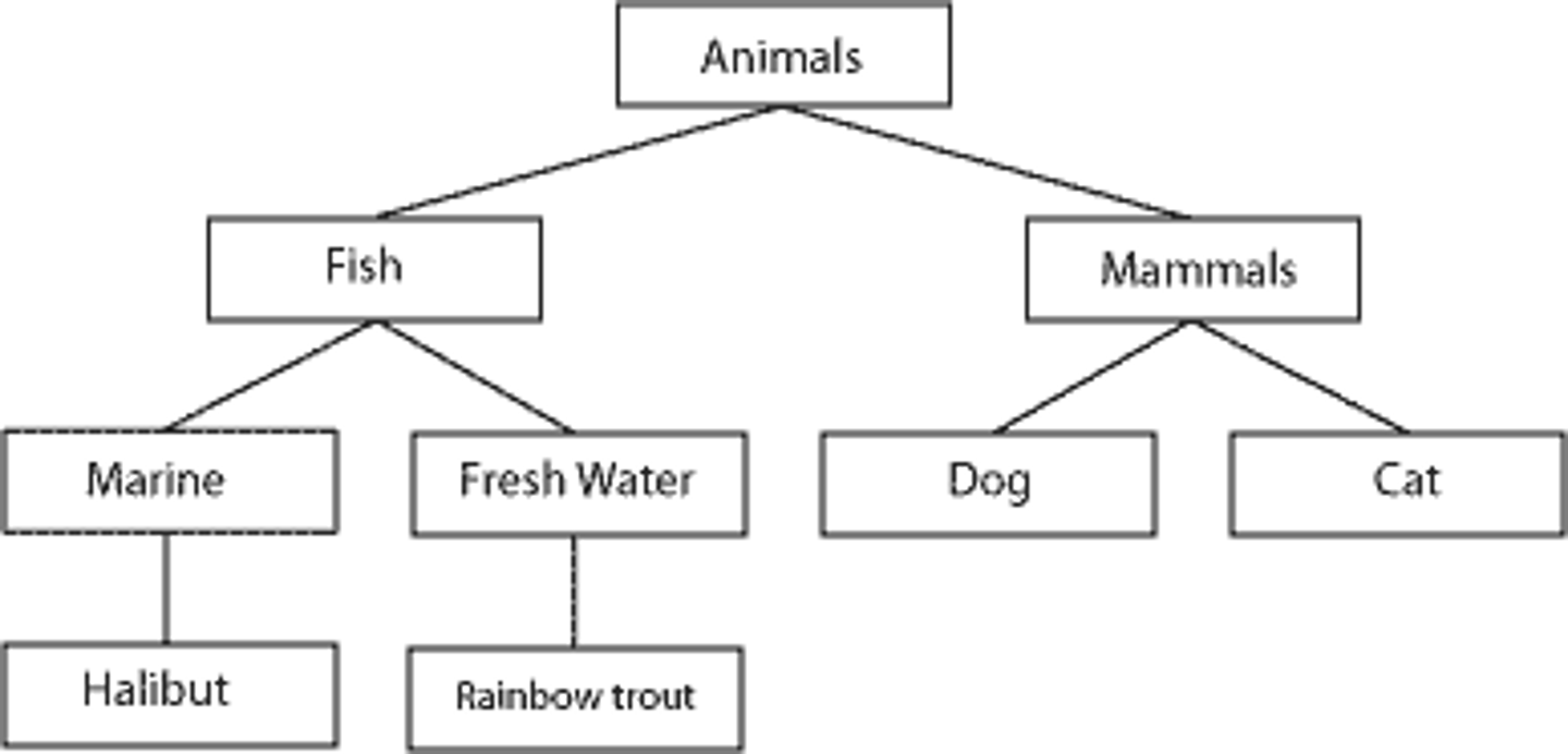 <p>a database model in which record types are arranged as a hierarchy or tree, of child nodes that can have only one parent node. Allows one to one or one to many relationships</p>