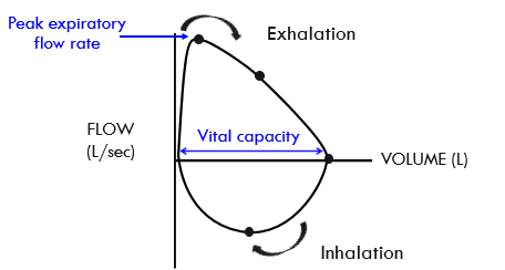 <p>the volume of air exhaled form maximal inhalation to exhalation </p>