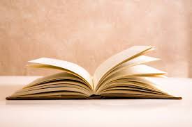 <p>Un livre</p>