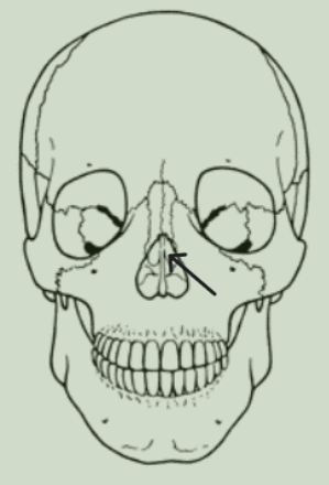 <img src="https://knowt-user-attachments.s3.amazonaws.com/4eea7222-e607-451d-91b4-f5fdb89a15e3.png" data-width="25%" data-align="center"><p></p>