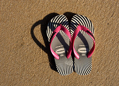 <p>flip-flops</p>