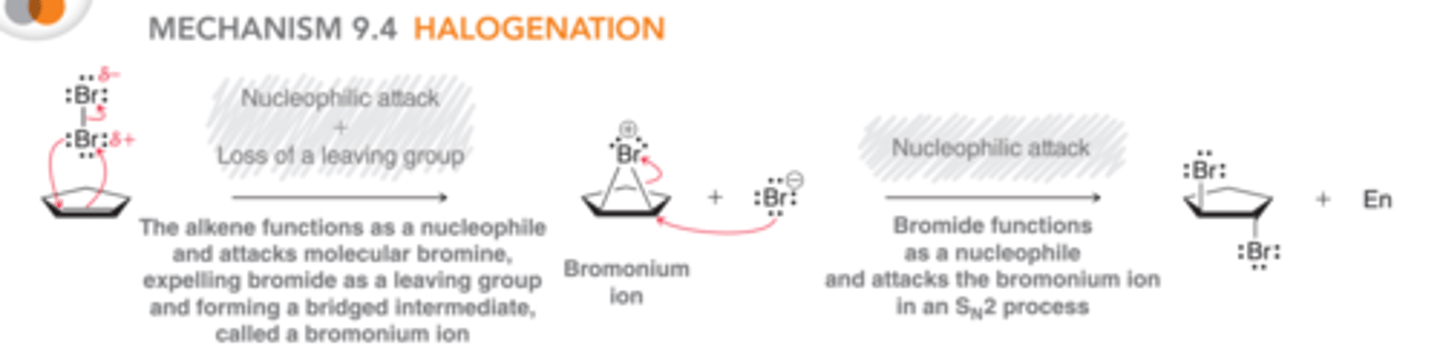 <p>In this mechanism, an additional curved arrow has been introduced, forming a bridged intermediate rather than a free carbocation. This bridged intermediate is called a <b>bromonium ion</b>. In the second step, the bromonium ion is attacked by the bromide ion that was produced in the first step via an SN2 process which proceed via back-side attack which leads to the observed stereochemical requirement for anti addition</p>