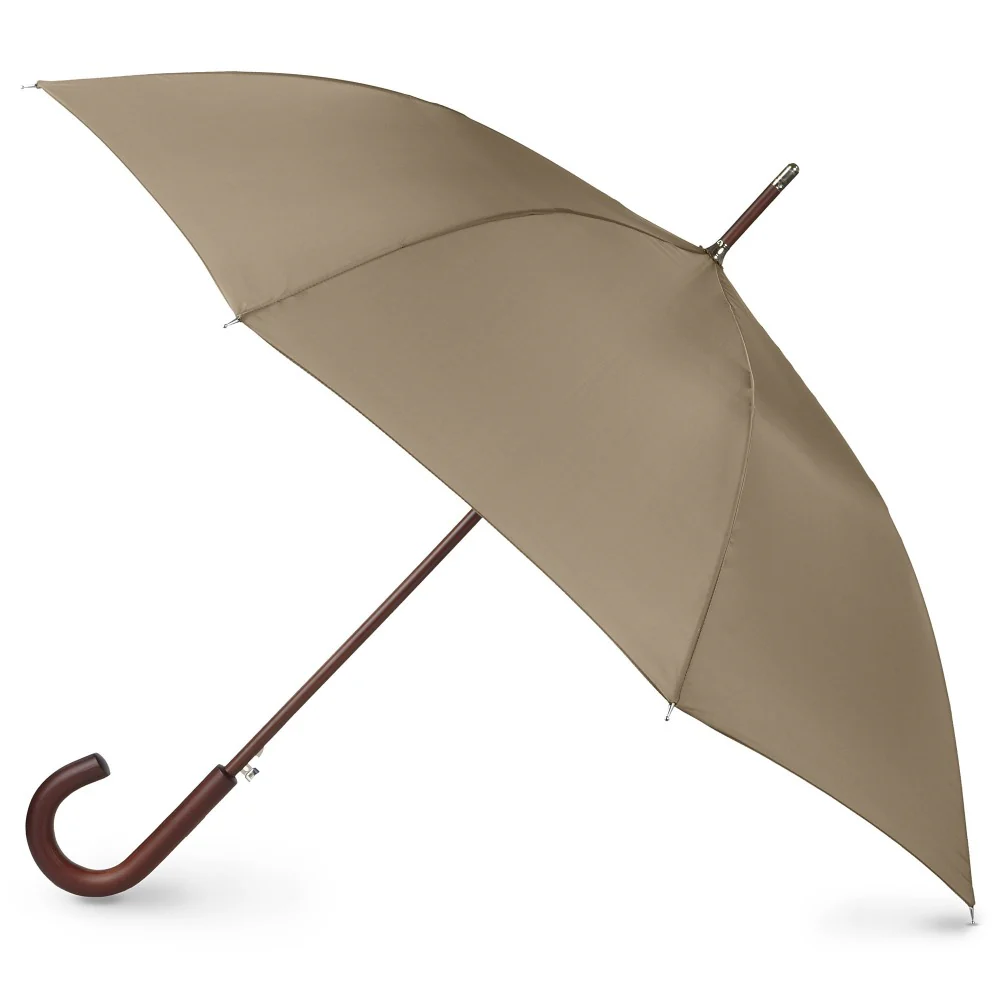 <p>umbrella(n) </p>