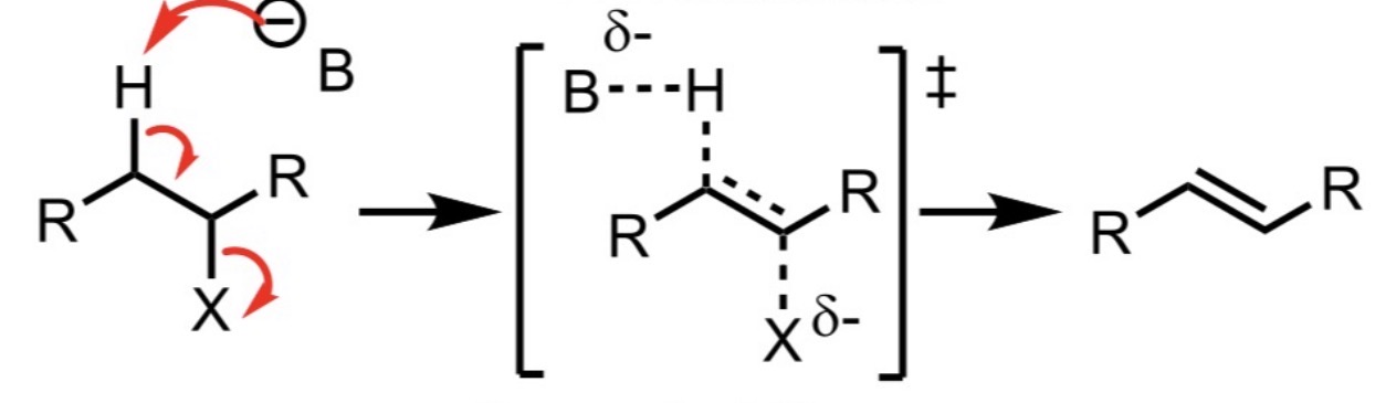 <p>(2) - concerted process. rate=k[nucleophile][haloalkane]. best in polar aprotic solvent.</p><p>stereospecific - must go via antiperplanar trans state</p><p>regioselectivity is dependant on lareg/small base</p><p>favoursuse of strong bases</p>