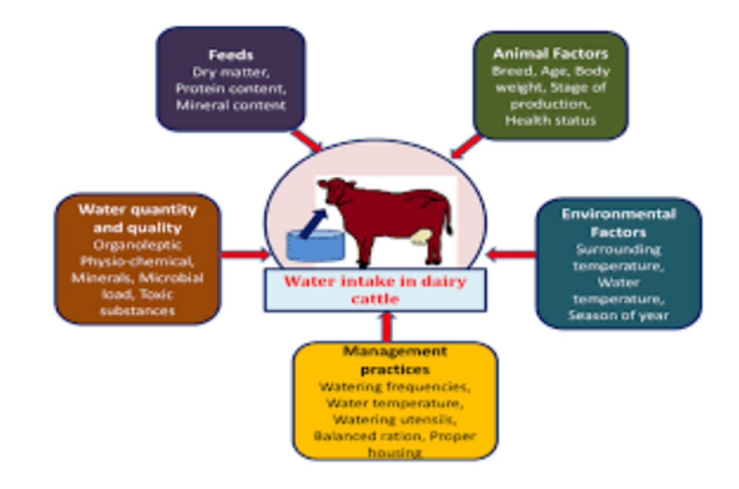 <p>what are some factors that can affect water intake</p>