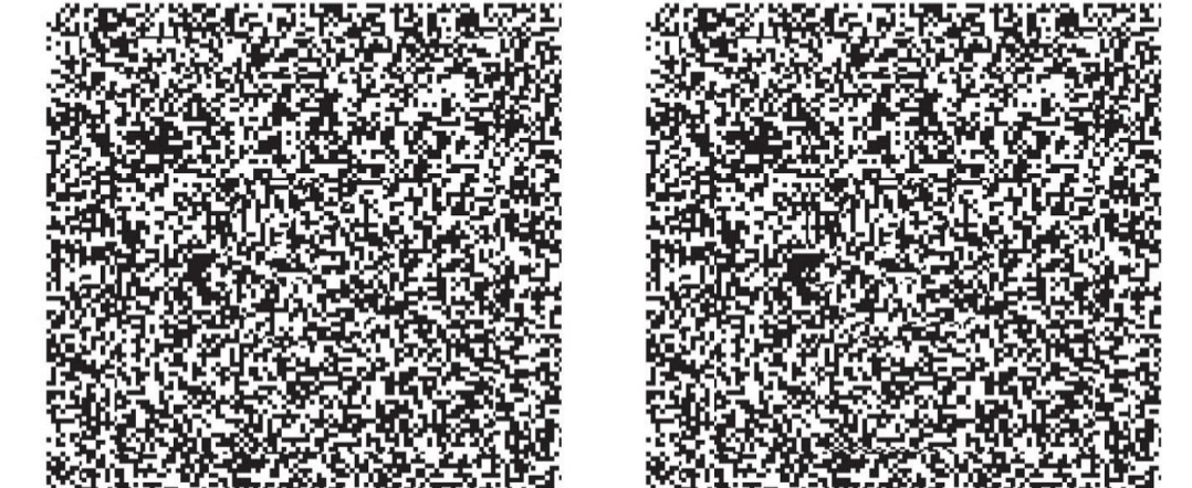 <ul><li><p>random dot stereograms can only be seen with binocular cues; they contain no monocular depth cue</p></li><li><p>Evidence that disparity is sufficient for stereopsis. No need for cues from object perception</p></li></ul><p></p>