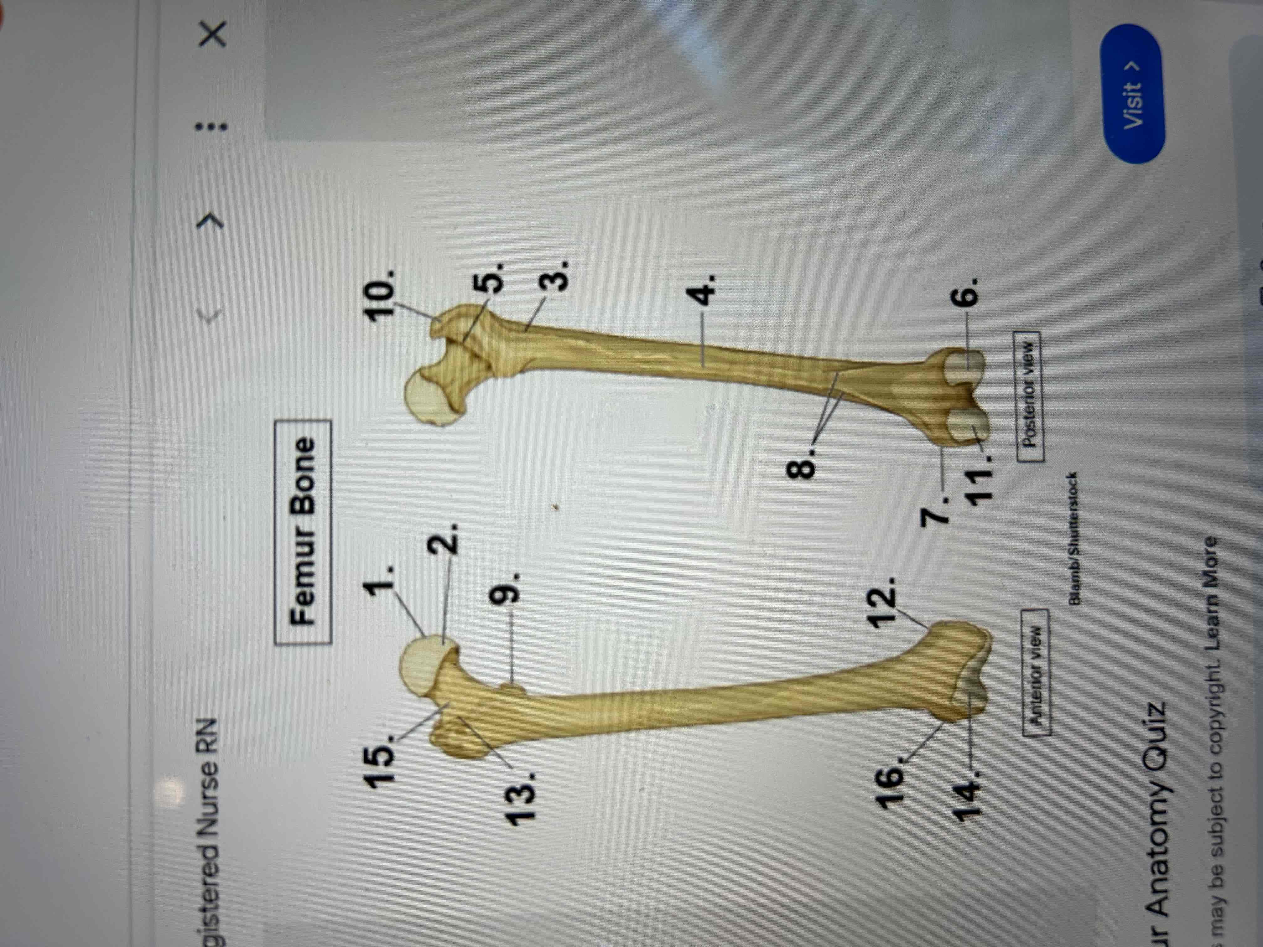 <p>Identify numbers 1,6,9,11 &amp; 13</p>
