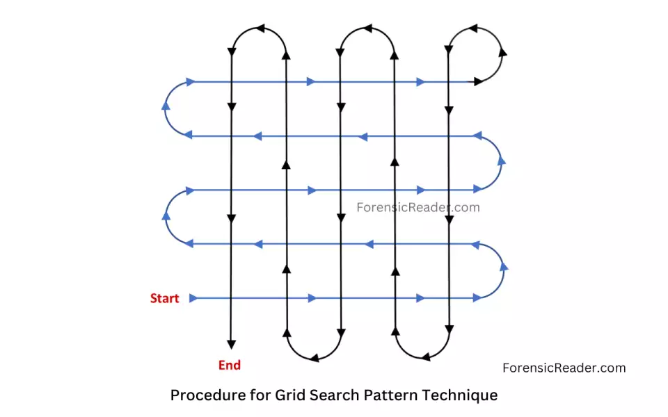 <p>Two or more investigators form a grid by searching in line patterns that overlap and are perpendicular to each other.</p>