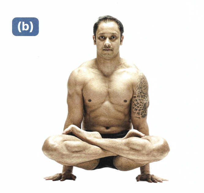 <p>Elevated Lotus Pose</p>
