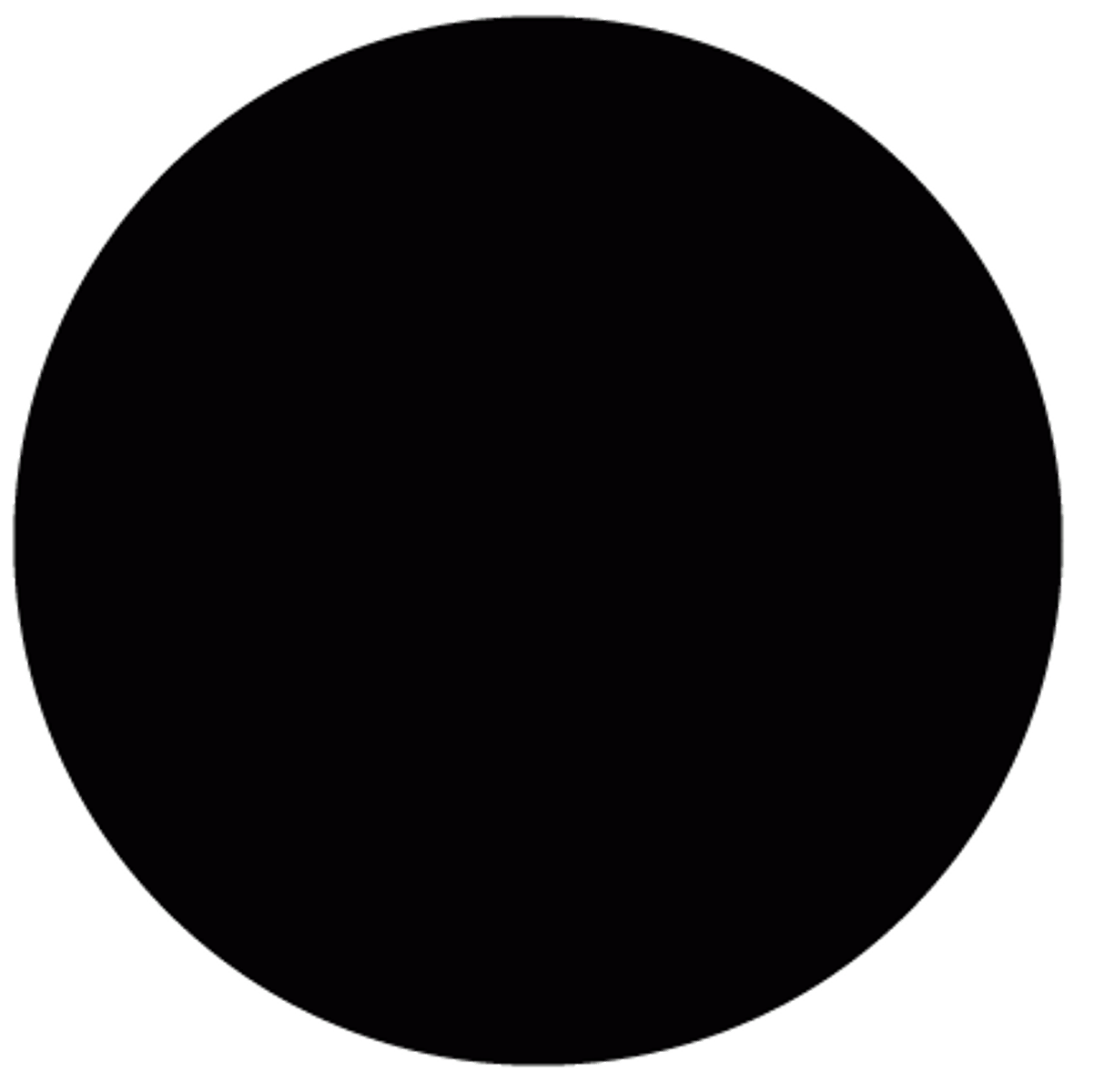 <p>Darkened circle</p>