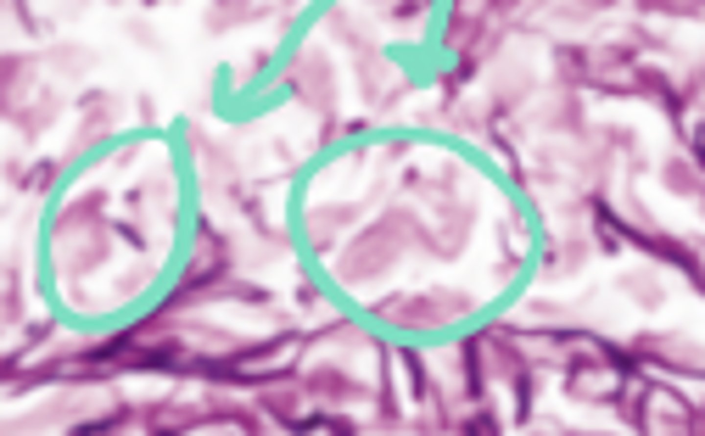 <p>What is this an image of?</p>