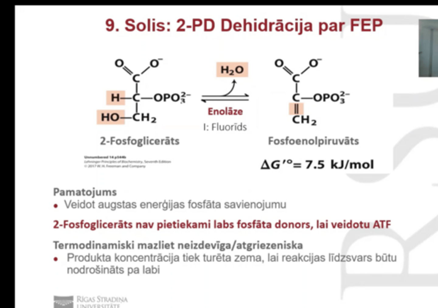 <p>2-PD dehidrācja par FEP</p><p>2-fosfoglicerāts (nav pietiekami labs donors P lai veidotu ATP)--> Fosfoenolpiruvāts (tas var būt kā inhibitors fruktokināzei)</p><p>enzīms: enolāze (jutīga pret fluorīdu un citiem smagiem metāliem). Reakcijas laikā atšķelts H2O un veidojas dubultsaite</p>
