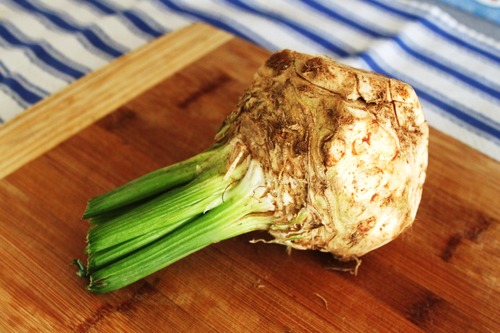 a round knob with a fibrous outside. It has yellow-green stems that sprout out of the top and green leaves.
