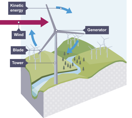 <p>harnessed through wind turbines - the blades turn with the wind, driving a generator which produces the electricity. there are many dotted around the countryside, but they are now more commonly grouped together off-shore in large quantities to form a wind farm</p><p>advantages:</p><ul><li><p>constantly available &amp; sustainable</p></li><li><p>no cost for wind + running cost of turbines are relatively low</p></li></ul><p>disadvantages:</p><ul><li><p>periods of low wind = little/no energy produced</p></li><li><p>cost a lot to build &amp; put in place</p></li><li><p>some people don’t like the look of turbines / think they spoil the natural landscape</p></li></ul><p></p>