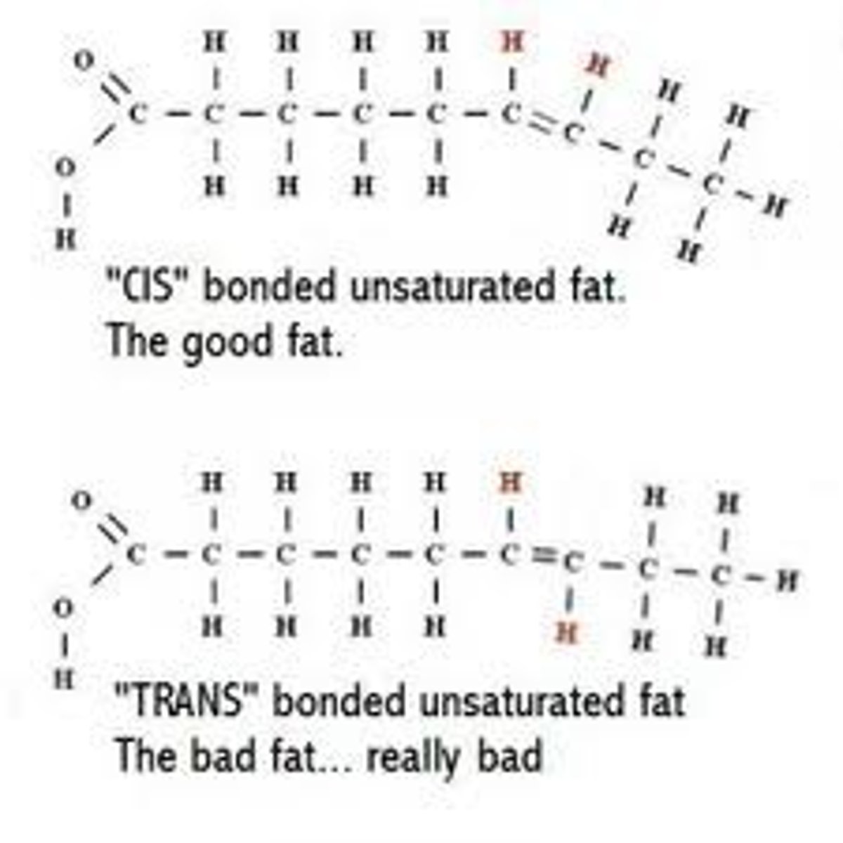 <p>unsaturated fats with trans double bonds (flips)</p><p>May contribute more than sat fats to cardiovascular disease, bc they go undetected/ are harder to break down?</p>