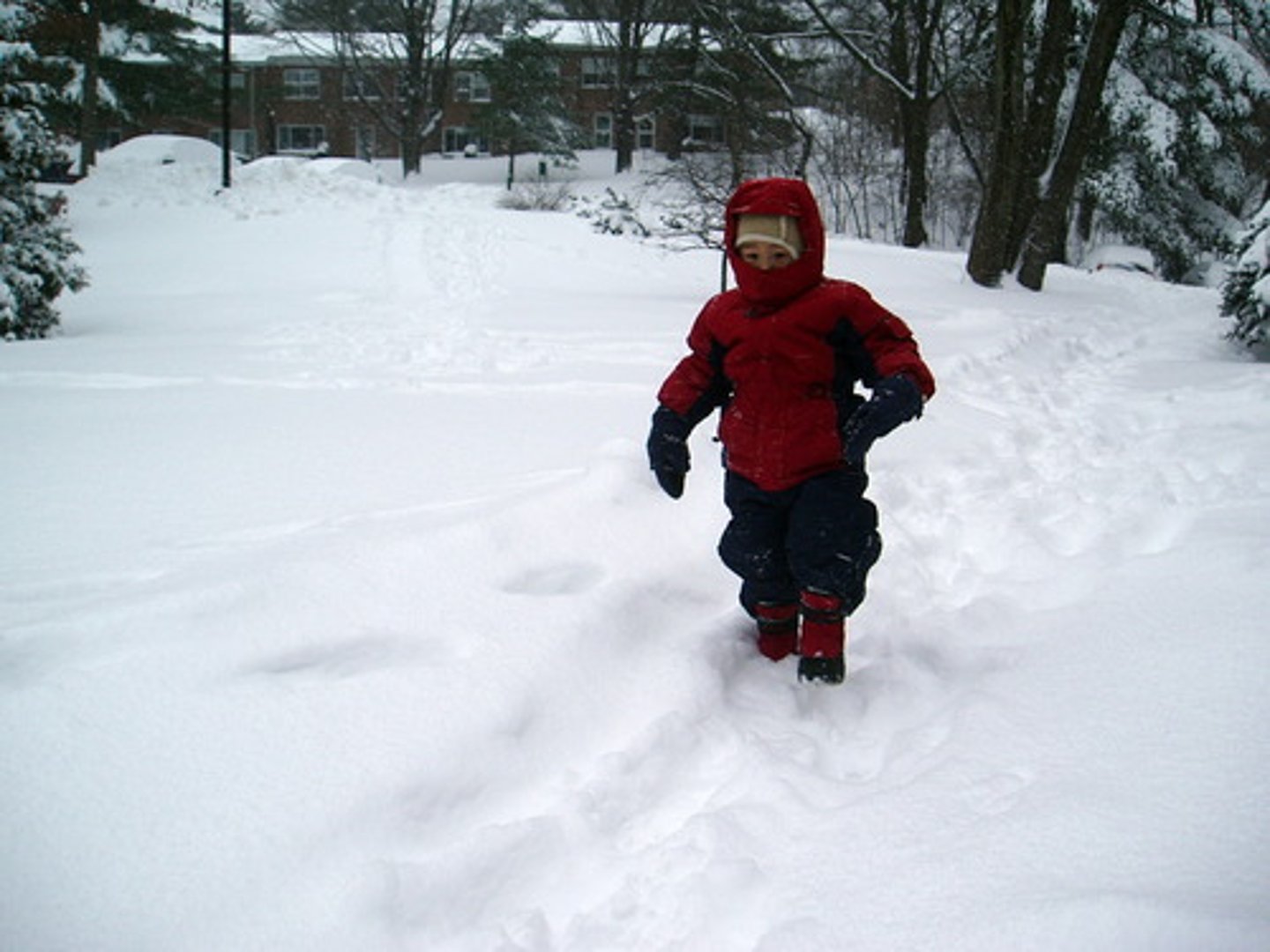 <p>v. to walk heavily or slowly; to work slowly</p><p>S: lumber, trudge</p><p>A: scamper, skip, prance</p>