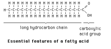 <p>A <span style="color: #3d2525"><strong><mark data-color="#666895" style="background-color: #666895; color: inherit">long chain of carbons attached to a carboxyl group</mark></strong></span>; three fatty acid chains attached to glycerol form a triacylglycerol, a lipid used for energy storage.</p>