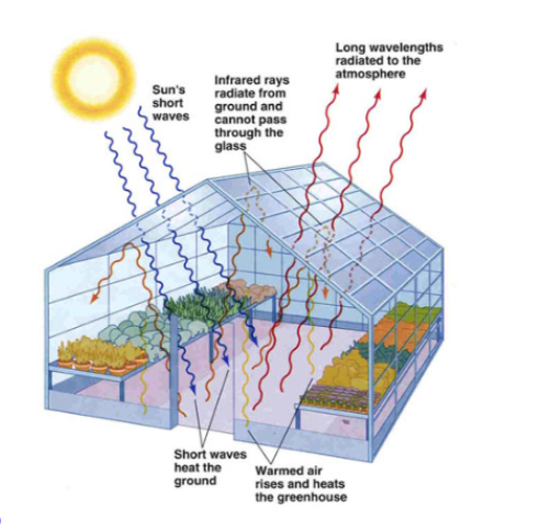 The image to the right is from lecture 7B. Describe how the atmosphere of our planet resembles a greenhouse.