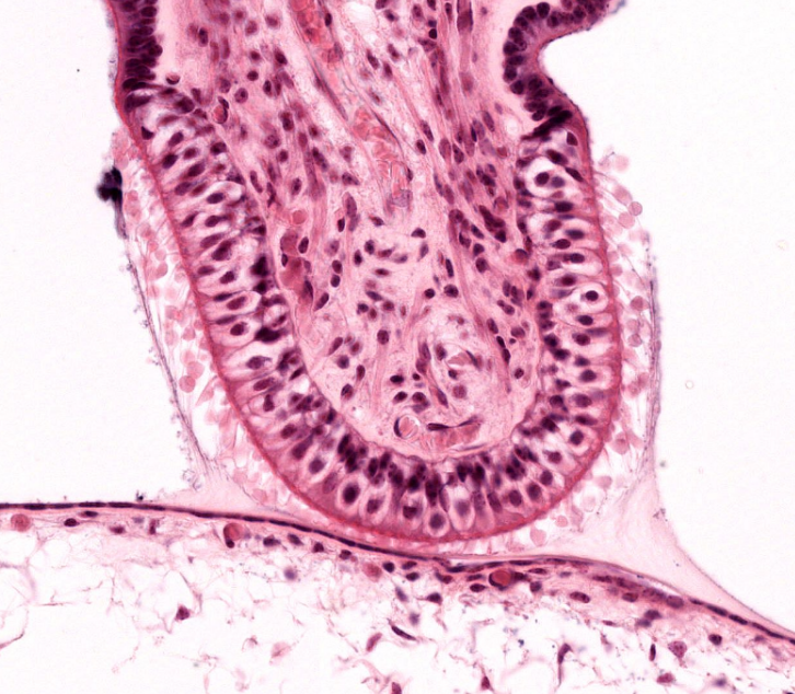 <p>structure</p>