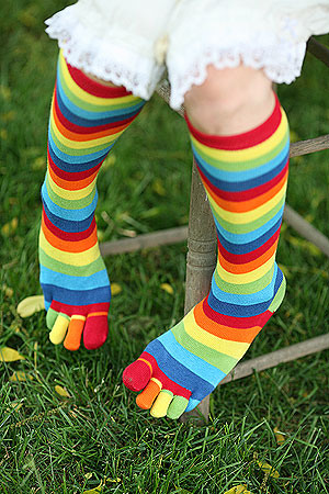 <p>socks</p>