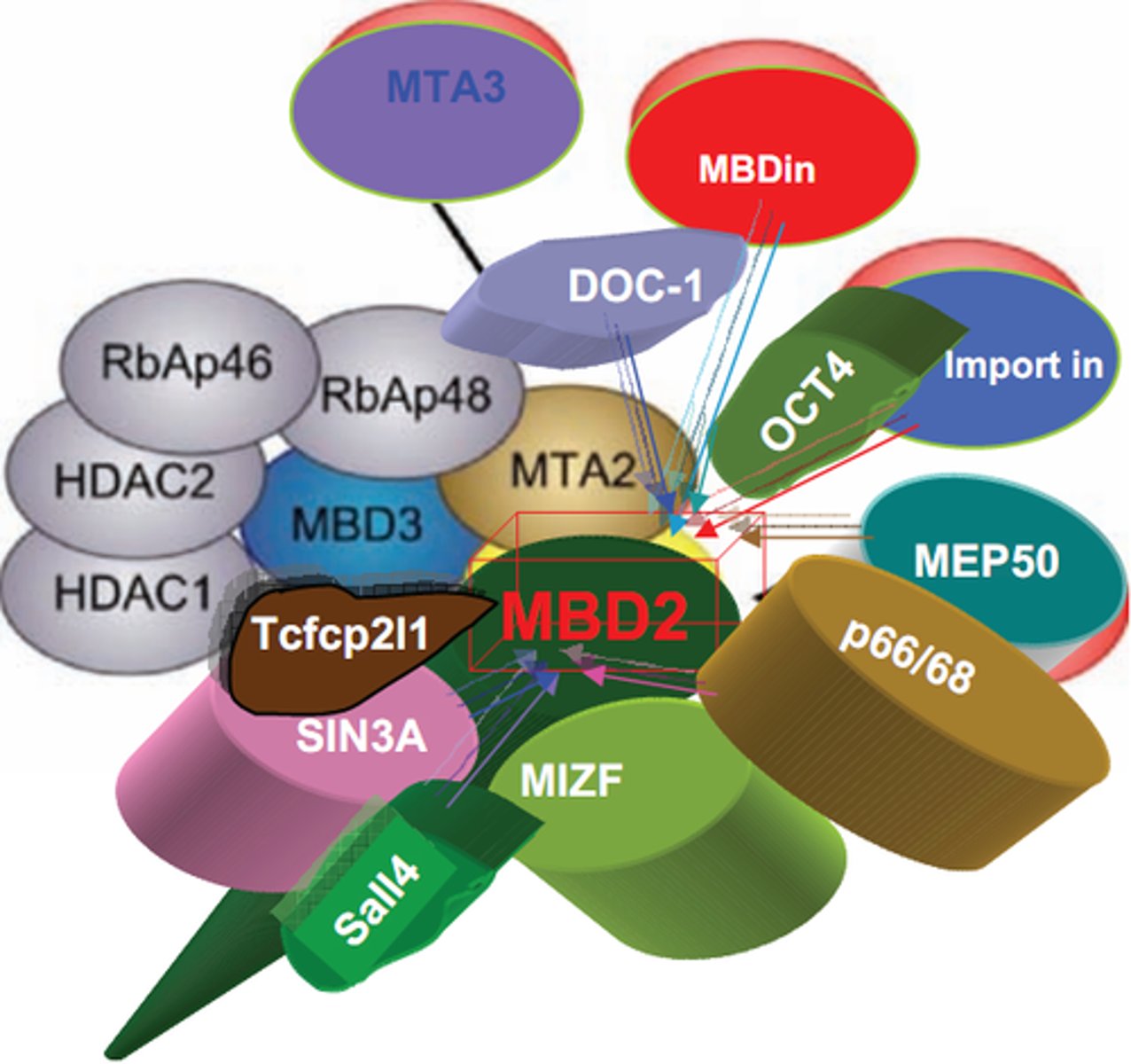 <p>The entire set of proteins expressed by a genome, cell, tissue, or organism at a certain time.</p>