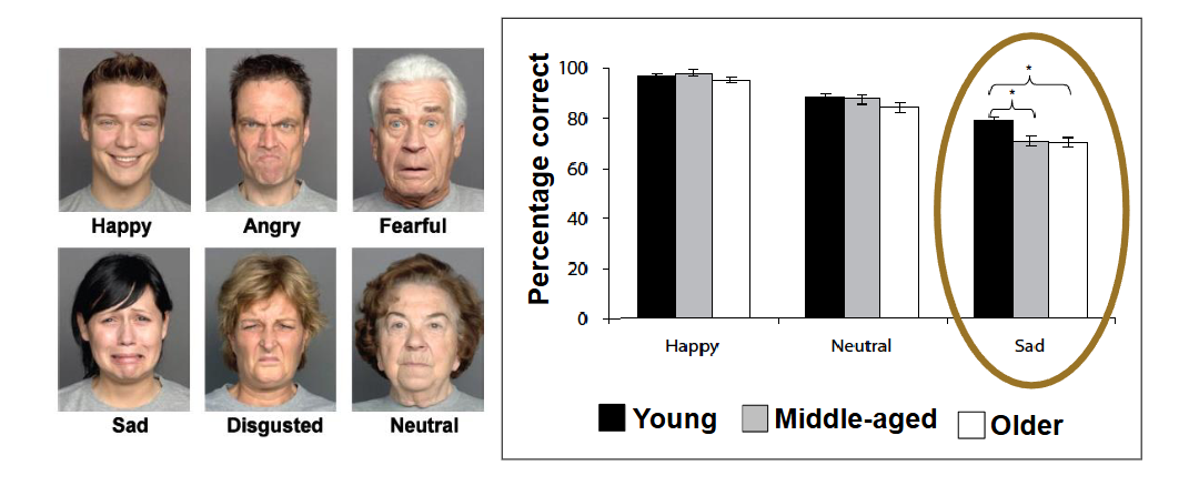 <ul><li><p>Older adults pay less attention to/avoid more negative emotions than younger adults. </p></li></ul><p></p>