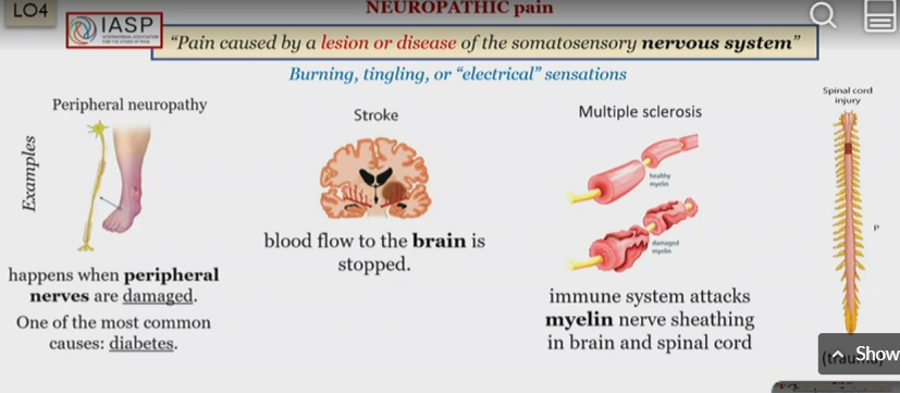 <p>Injury to the nervous system, lesion or disease </p><p></p><p>Tingling senstations</p>