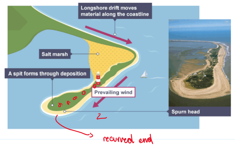 <p>-longshore drift moves material along the coastline in the direction of the prevailing wind. The angled swash brings material onshore, while the backwash moves the material down the beach under gravity.</p><p>-this continues in a zig-zag motion along the coast</p><p>-if the coast changes direction the material will continue to be deposited in the same direction in a shallow sea.</p><p>-this build up of material is called a spit</p><p>-overtime the spit grows and develops a recurved end if the wind direction changes further out.</p><p>-salt marches are formed from behind the spit where energy levels are low and it is sheltered. </p>